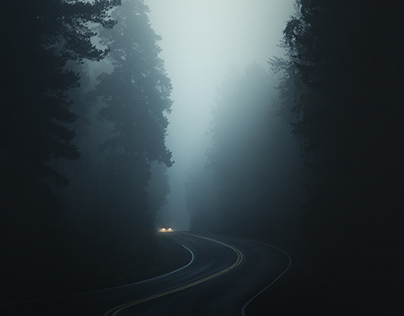 В Ситилинке стартовали продажи неубиваемого смартфона HONOR X9d с батареей 8300 мАч