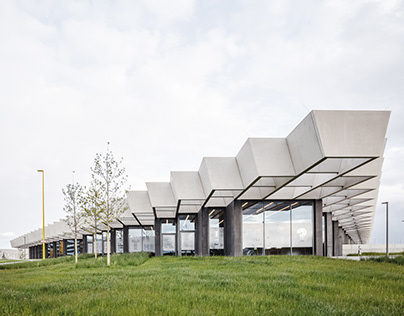 В Флоренции вводят запрет на рестораны на улице  TN CZ