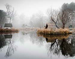 Он ведёт бизнес с её отцом. Экс-судья конкурса Мисс Вселенная заявил, что победительницу выбрали из-за её связей