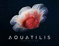 Девушка Павла Дурова показала фигуру в бикини на отдыхе с подругами в Сен-Тропе