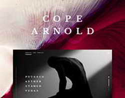 Бюджетные смартфоны OPPO A6 GT и A6i получили неплохую производительность