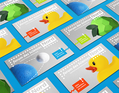 Страна медведей: косолапые держат в страхе окраины Сочи